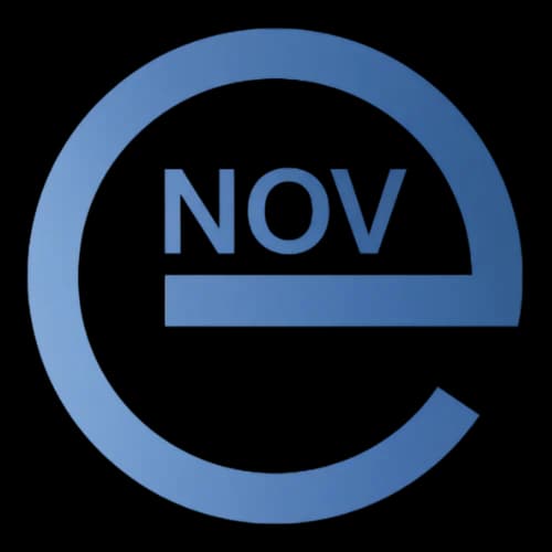 Site vitrine E-NOV Audit & Conseils, cabinet d'audit et de conseil créé par JURACODE, agence web Jura