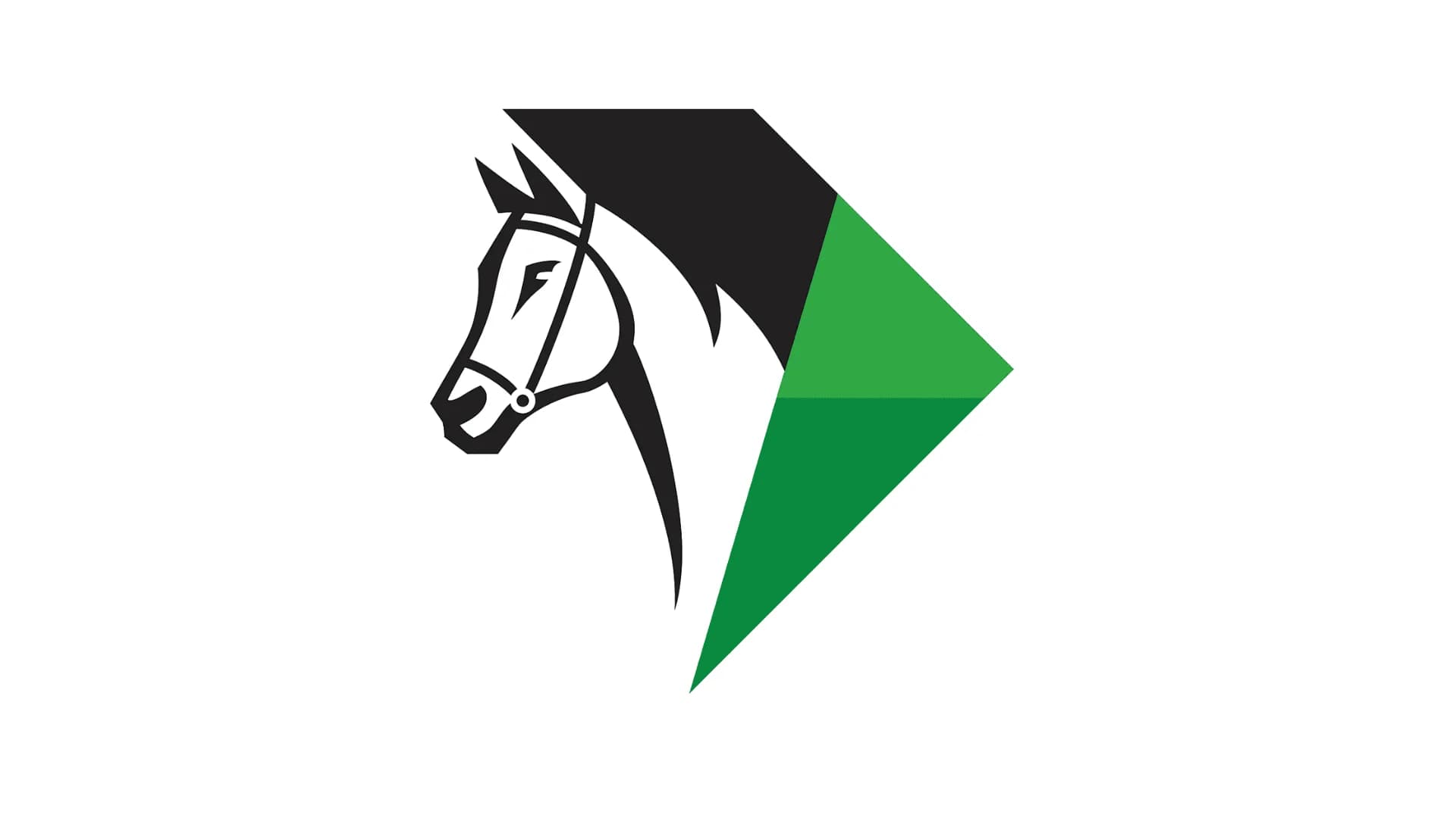 Image du projet TOP HIPPIQUE PRONOS (mobile)